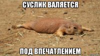 суслик валяется под впечатлением