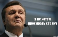  я не хотел просирать страну