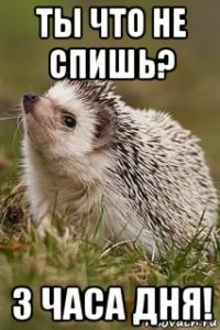 ты что не спишь? 3 часа дня!