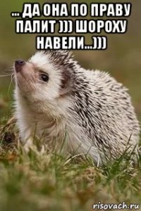 ... да она по праву палит ))) шороху навели...))) 
