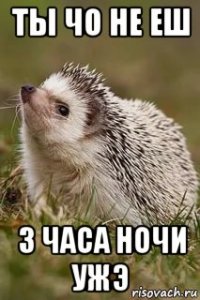 ты чо не еш 3 часа ночи ужэ