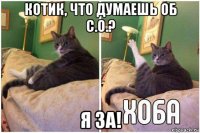 котик, что думаешь об с.о.? я за!