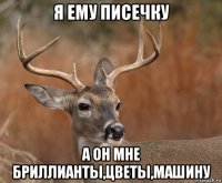 я ему писечку а он мне бриллианты,цветы,машину