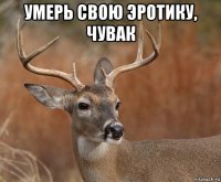 умерь свою эротику, чувак 