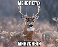 мене петух минусный