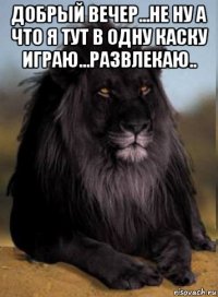 добрый вечер...не ну а что я тут в одну каску играю...развлекаю.. 