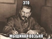 это мышиная возьня