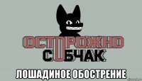  лошадиное обострение