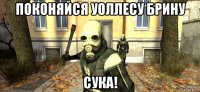 поконяйся уоллесу брину сука!