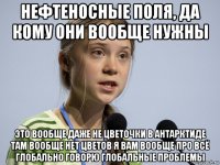 нефтеносные поля, да кому они вообще нужны это вообще даже не цветочки в антарктиде там вообще нет цветов я вам вообще про всё глобально говорю глобальные проблемы