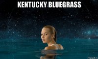 kentucky bluegrass 