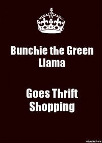 Bunchie the Green Llama Goes Thrift Shopping