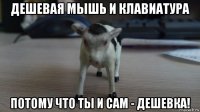 дешевая мышь и клавиатура потому что ты и сам - дешевка!