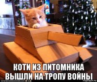  коти из питомника вышли на тропу войны