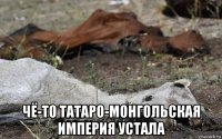  чё-то татаро-монгольская империя устала