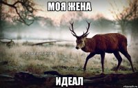 моя жена идеал