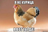 я не курица а вот ты да)