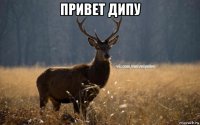 привет дипу 