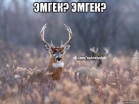 эмгек? эмгек? 