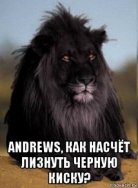  andrews, как насчёт лизнуть черную киску?