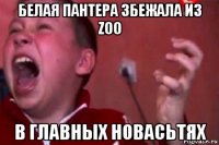 белая пантера збежала из zoo в главных новасьтях