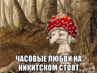  часовые любви на никитском стоят