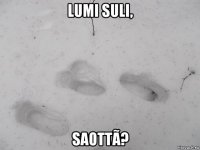 lumi suli, saottã?