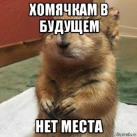 хомячкам в будущем нет места