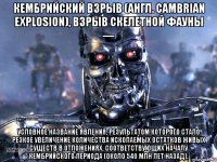 кембрийский взрыв (англ. cambrian explosion), взрыв скелетной фауны — условное название явления, результатом которого стало резкое увеличение количества ископаемых остатков живых существ в отложениях, соответствующих началу кембрийского периода (около 540 млн лет назад).