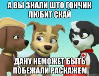 а вы знали што гончик любит скай дану неможет быть побежали раскажем