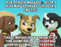 рози:я люблю маршала♡. нести: а разве маршал любит тебя? рози: в смысле? тундра: маршал любит елизавету-это тоже далматинец. она сегодня наш новичок в команде. нести и рози:...