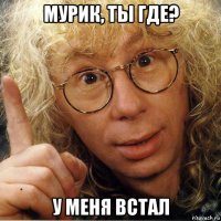 мурик, ты где? у меня встал