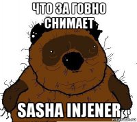 что за говно снимает sasha injener