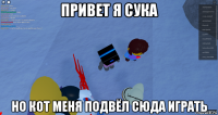 привет я сука но кот меня подвёл сюда играть