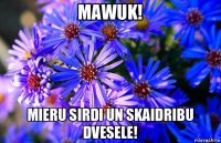 mawuk! mieru sirdi un skaidribu dvesele!