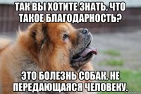 так вы хотите знать, что такое благодарность? это болезнь собак, не передающаяся человеку.