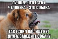 лучшее, что есть у человека, - это собака так если у вас еще нет друга, заведите собаку