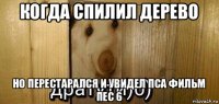 когда спилил дерево но перестарался и увидел пса фильм пес 6