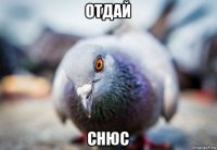 отдай снюс