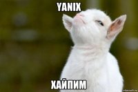 yanix хайпим