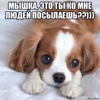 мышка, это ты ко мне людей посылаешь??))) 