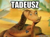 tadeusz 