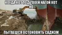 когда кот под твоей нагой кот но пытаешся остоновить садизм