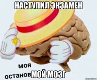 наступил экзамен мой мозг