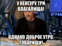 у кенгуру три влагалища! однако доброе утро, товарищи!