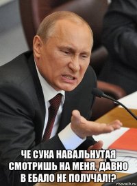  че сука навальнутая смотришь на меня, давно в ебало не получал!?