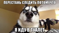 перестань следить потомучто я иду в туалет