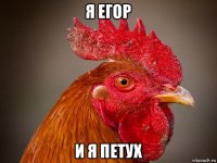 я егор и я петух