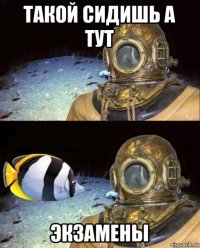 такой сидишь а тут экзамены