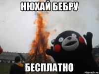 нюхай бебру бесплатно